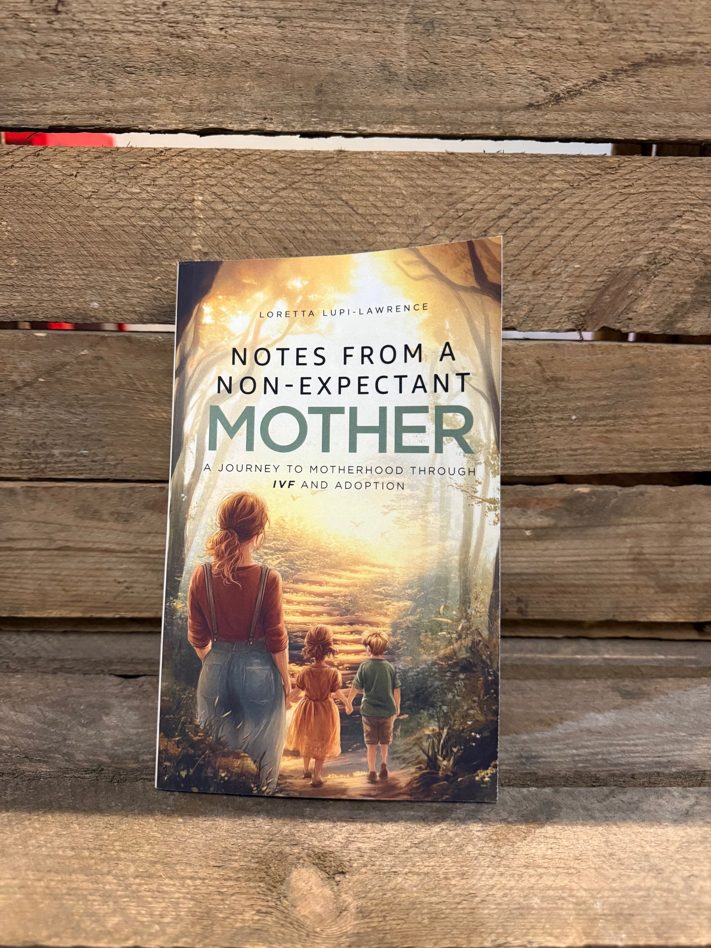 Notes From A Non-Expectant Mother Paperback